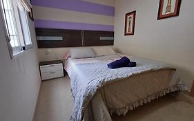 SELA HOME y Garaje, Algemesi Home